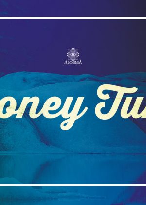 Looney Tunes: 11n. & DJ Hawaiski Looney Tunes: 11n. & DJ Hawaiski