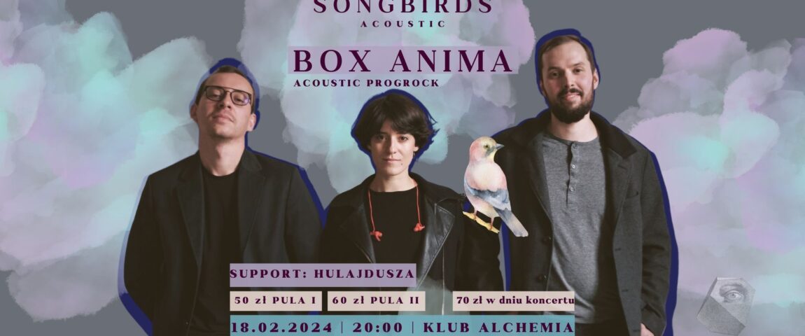 BOX ANIMA Live @ Klub Alchemia